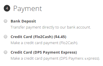 A screenshot of a credit card payment<br><br>Description automatically generated